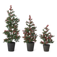 Juniper Pine Trees w/Red Berries In Black Ceramic Pot