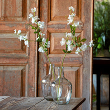 Load image into Gallery viewer, Sweet Pea White