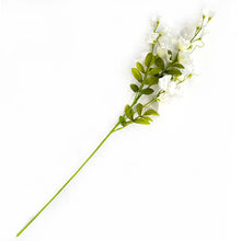 Load image into Gallery viewer, Sweet Pea White