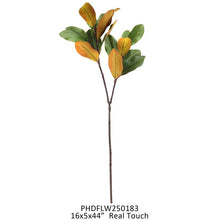 Load image into Gallery viewer, Southern Magnolia Branch