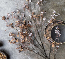 Load image into Gallery viewer, SOFT BLUSH ARTIFICIAL HIBERNAL BLOSSOM